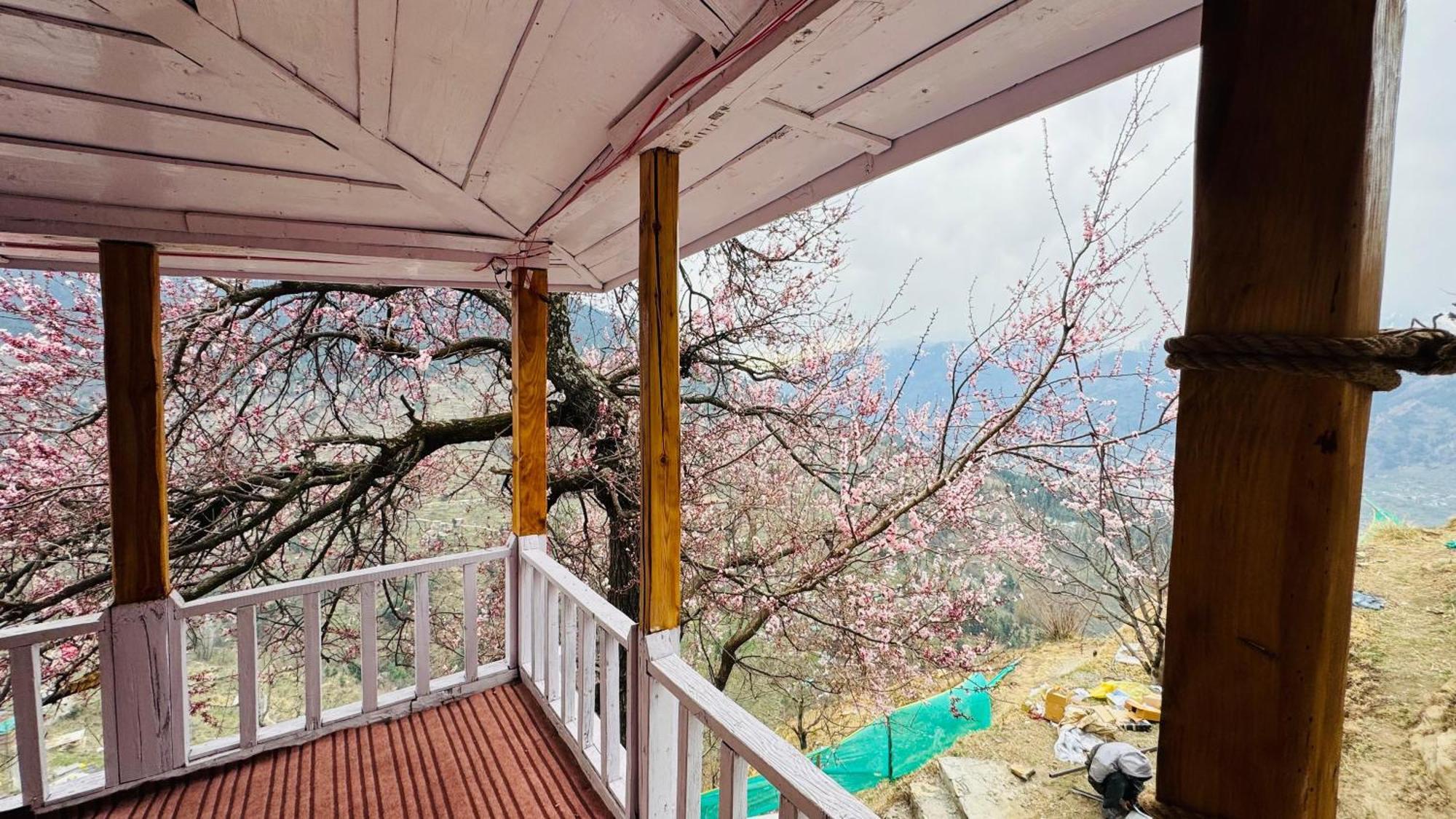 Tlo-The Life Outdoor Hallan 1 Nagar  Экстерьер фото